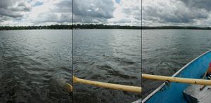 My Dad and I fish here many times. I always feel the need to return to Constance Bay.  © 2013 Nicholas Adam Wojtas. All Rights Reserved.