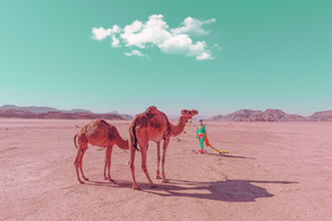 Superman with Camels