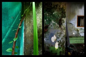 try to breaking the wall © Indra Widi