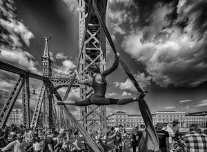 bridge0