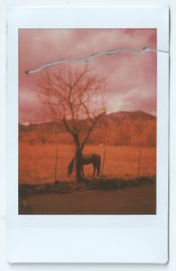 Red Mountain Horse Cut
