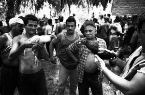 The Cockfighters of Viñales