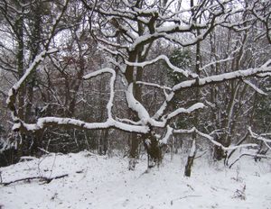 Day 3 #12