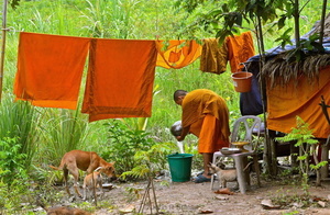 Country monks