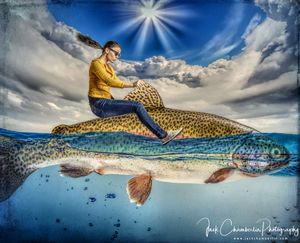 Wrangling Trout for Fun and Profit