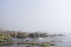 Fog 4