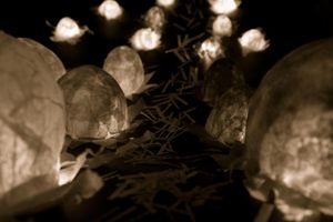 Orbs © Amber Hall