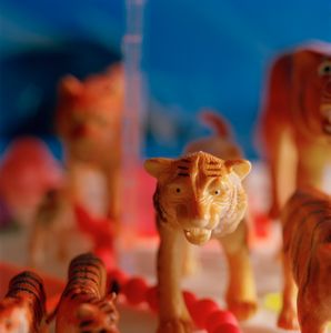 The Army of Thirsty Tigers