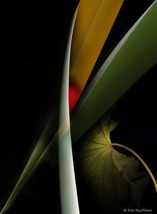 Confluence 1 © Kim Kauffman
