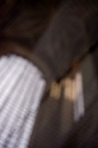Web (2)