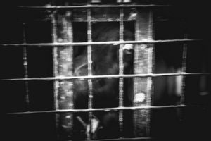 Human & Tiger Conflict