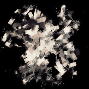 Metamorphosis 43