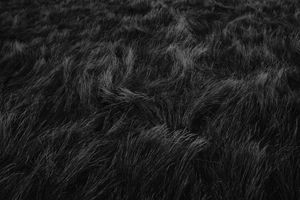 After the rain #14