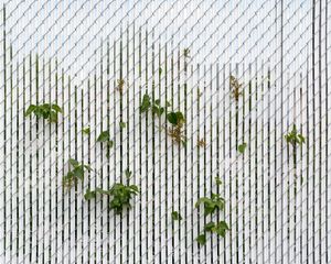 From the project, Wide Eyed © Jon Horvath