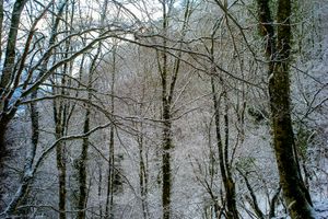sans titre #12
