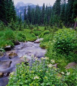 Truchas Amphitheater, Pecos Wilderness, NM.