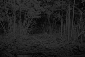 Untitled (Passage)