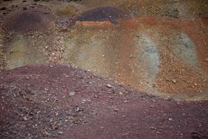 petruckevitch_ann_06