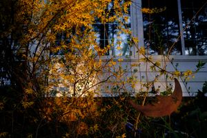 late afternoon