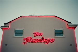 The Flamingo