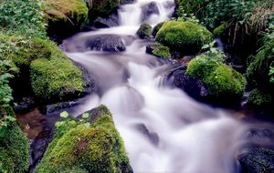 Rito Maestas, Pecos Wilderness