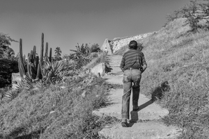 Escalinata de Artes y Oficios, 2014