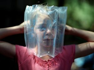 Cricket, 2008 © Laura Sackett