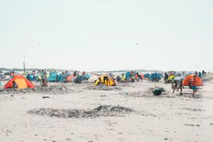 shellanddragonpeople