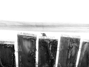 Kure Beach 24