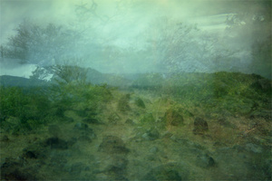 Untitled, from the "when the evidence of our tears were reborn as..." series