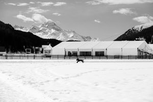 Radiography of a journey. Bernina Express from Tirano to St. Moritz