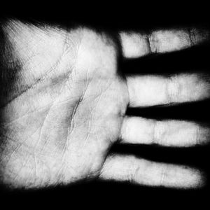 The Branching (2015). From the series “The Imponderables”.