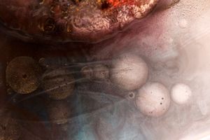 Other Worlds