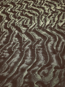 Into the marsh - 10