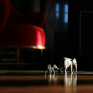 Domestic Elephants