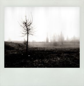 Transversal Memory #3
