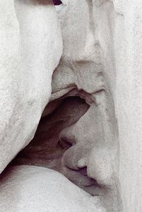 Womb.