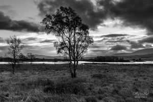 Loch Ba, Scotland |  09