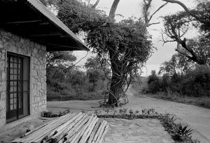 "Colonial House" 1992