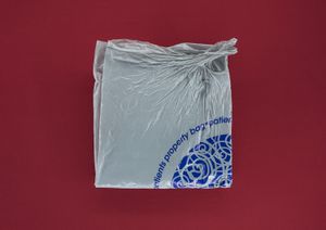 Patient's Property Bag (emptied), 2014 © Ali Mobasser