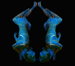 Artemis Mirror