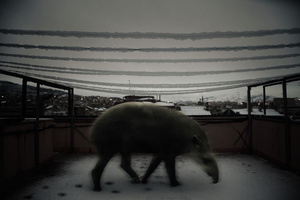 The end or the beginning