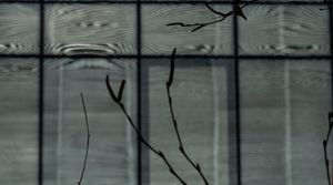 Urban Nature VI