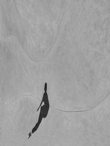 shadow men IX