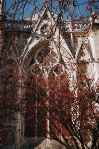 Notre Dame de Paris