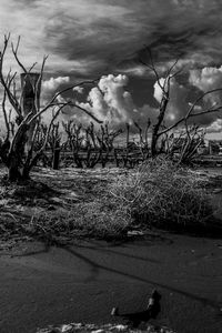 Epecuen