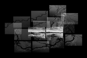 Lakeshore Operations | Fading Series