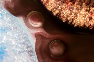 Other Worlds