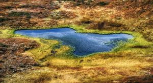 Small autumn lake © Gunnar Kopperud