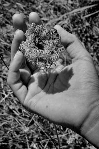 Mother Nature 8